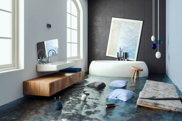 Best Professional water damage repair  in Pawcatuck, CT
