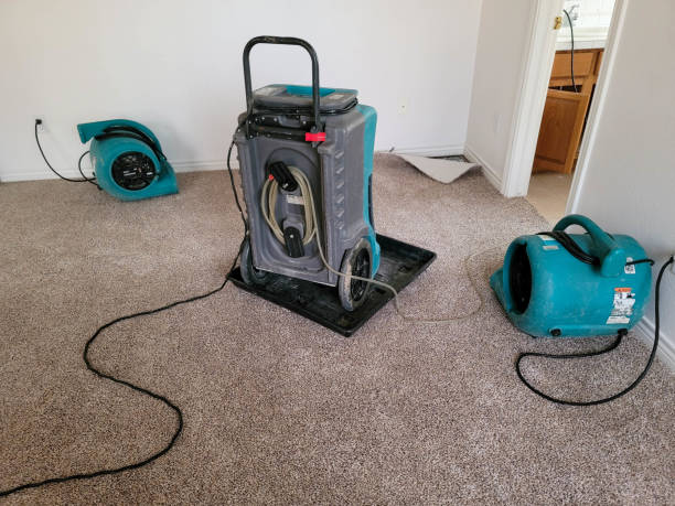 Best 24/7 water damage repair  in Pawcatuck, CT
