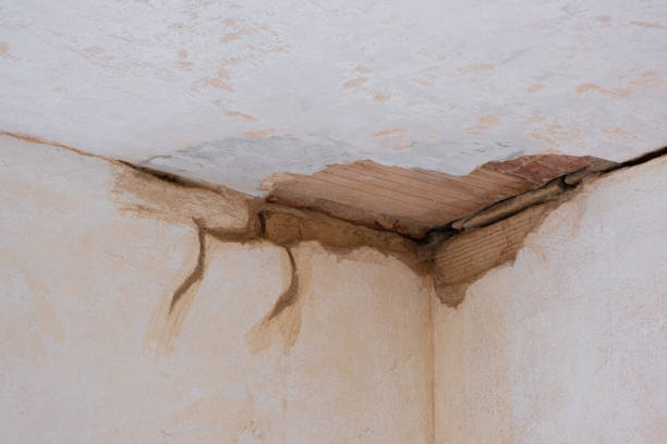 Best Fire Damage Restoration  in Pawcatuck, CT