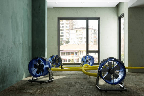 , CT Water damage restoration Company