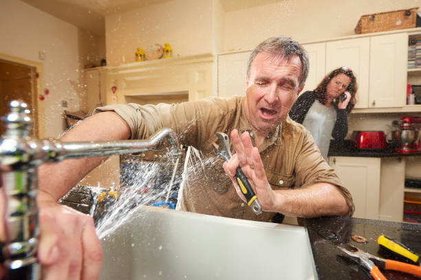 Best Flood damage cleanup  in Pawcatuck, CT
